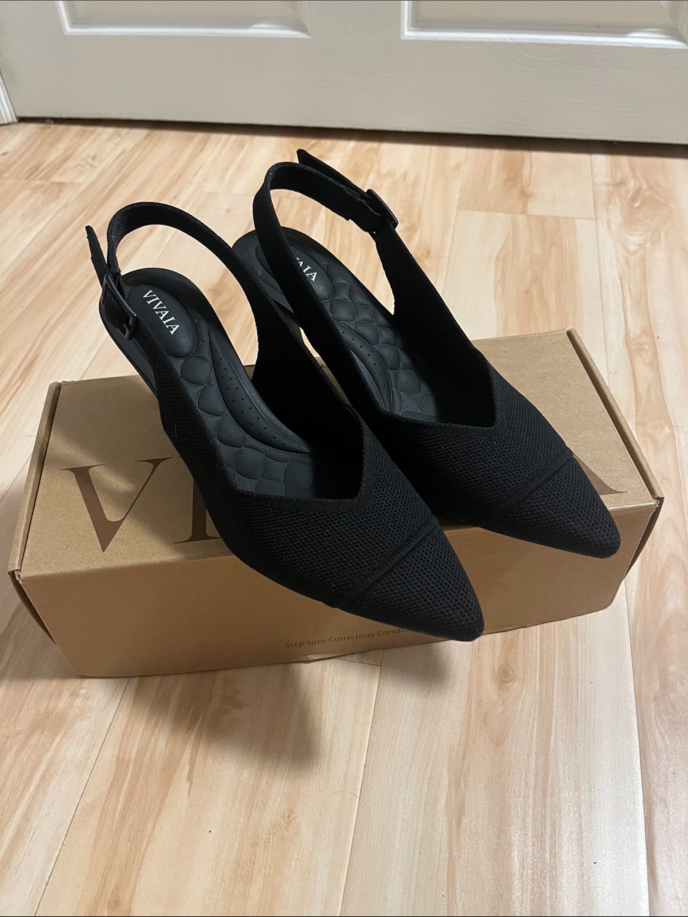 VIVAIA Addison Pointed-Toe Slingback Heels